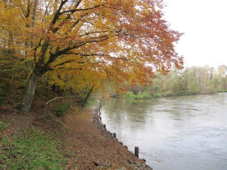 Uspešno izvedena še 2. delovna akcija to jesen